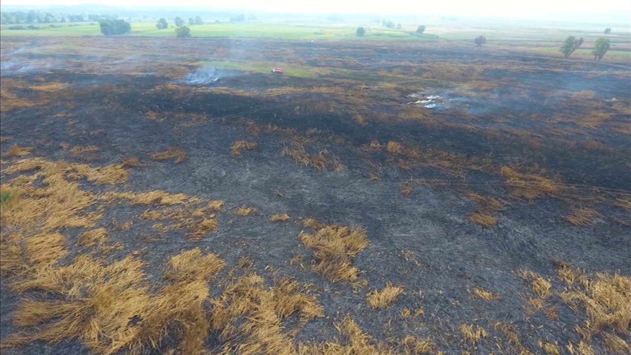 Тління торф’яного грунту на половині гектара залишилося ліквідувати пожежним у селі Вергуни