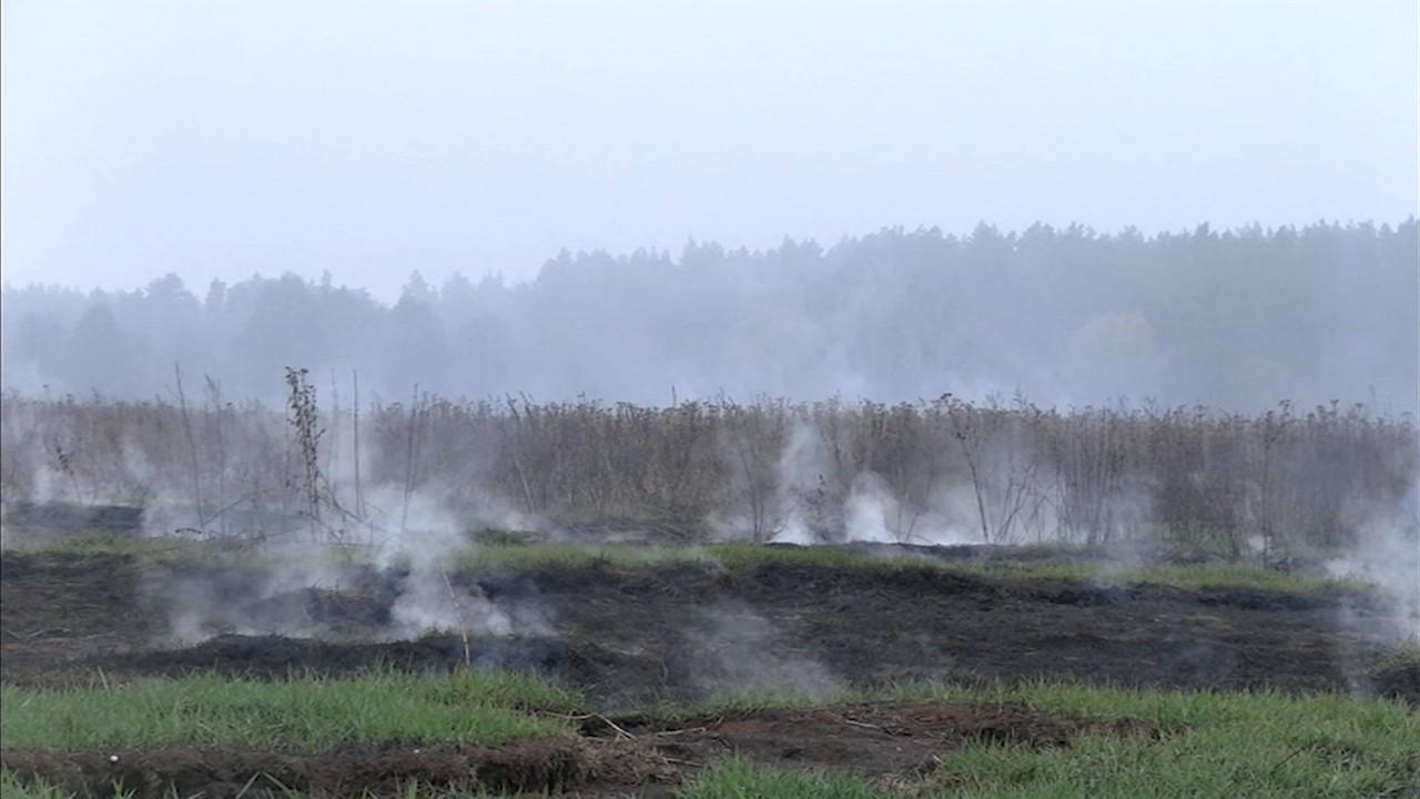 Гектар торфяного ґрунту тліє поблизу села Білозір’я Черкаської області