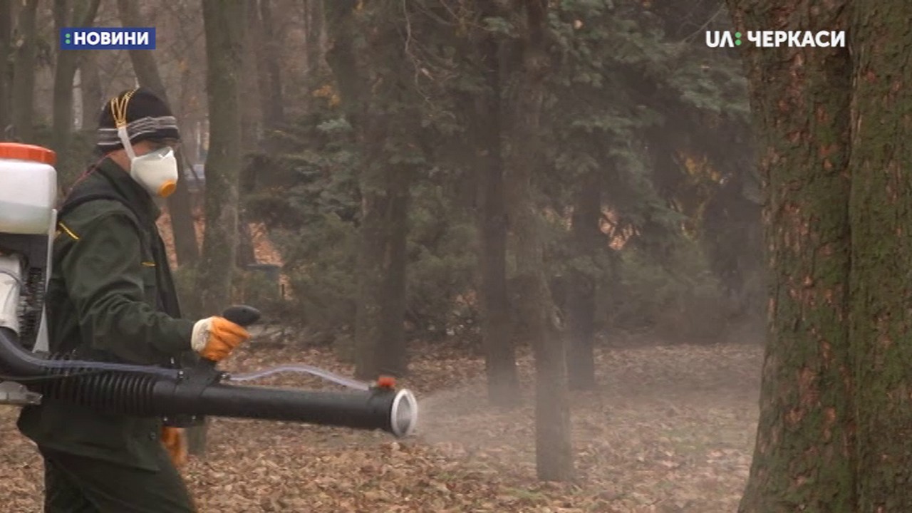 Черкаські парки почали готувати до зими